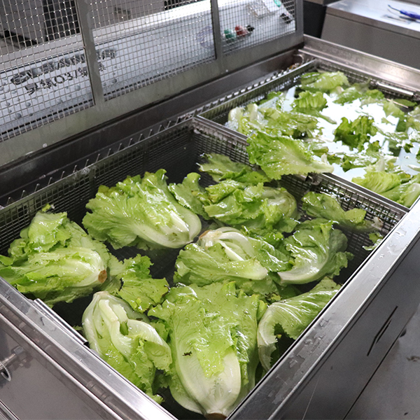 商用型蔬果清洗機 MB95