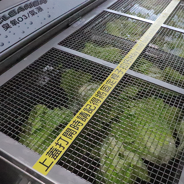 商用型蔬果清洗機 MB95